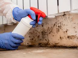 Best Mold Removal for HVAC Installations  in Dublin, OH